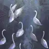 monroe_sara - @monroe_sara - TikTok