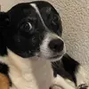Sara - @sara.monroe.sews - TikTok