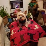 Sarah James Moorman - @sarah.moorman.58 - Instagram