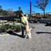 Sara Moreau - Facebook
