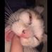 Sara Mosher - Facebook