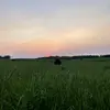 Sara Munchel - @saramunchel1 - TikTok