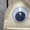 Sara Munro - @saramunro - TikTok