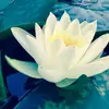 sarahbelle.munro - @sarahbelle.munro - TikTok