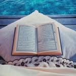 Sara Nadir - @saranadir21 - Instagram