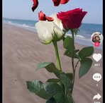 Sara Nadir - Facebook