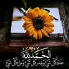 saranadir - @saranadir26.5 - TikTok