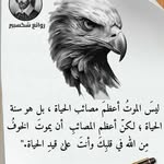 Saranadir Nadir - @saranadirnadir - Instagram