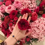 Sara Nãll - @aisco7993 - Instagram
