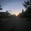 sara.navarro - @sara.navarrot - TikTok