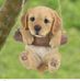 Sara Neel - Facebook
