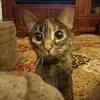 Sarah Neu - @sarah.n_2000 - TikTok