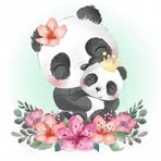 Carpi Nez Sara - Facebook