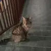 nez_sara9 - @nez_sara9 - TikTok