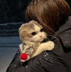 Sara Nezar - Facebook