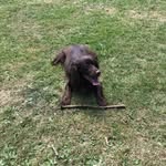 Sara Nicholson - @mulimoo - Instagram