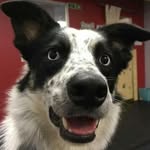 Sara Nicholson - @saranicholson6250 - Instagram