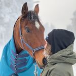 Sara Nilsson - @saranilssonns - Instagram