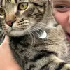 Sarah Noyes - @sarah_noyes - TikTok