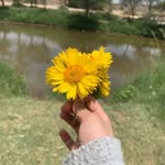 Sara Null - @sara.s4079037 - Instagram