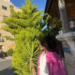 Sara Odeh - Facebook