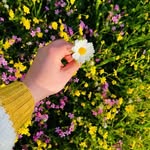 Sara Odeh - @saraajwed - Instagram