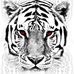 Sarah Ogg - Facebook