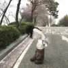 🥐🍓🥑Sara🥑🍓🥐 - @sara.ong29 - TikTok