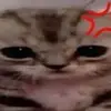Sara - @sara_orsmth - TikTok