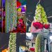 Sara Ahmed Orthy - Facebook