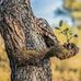 Sara Ostrom - Facebook
