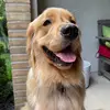 Sara - @sarapainter38 - TikTok