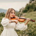 sara talebian | painter - @stalebian70 - Instagram