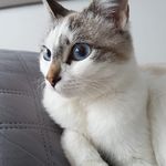 Sara Palazzolo - @sara.palazzolo.7 - Instagram