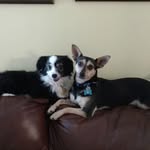Sara Panton - @sara.panton.1 - Instagram