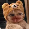 Sara ♡ - @saraparamo02 - TikTok