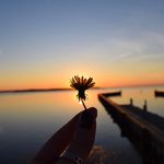 Sara Parsons - @sara_photography_obx - Instagram