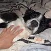 Sarah Parsons - @sarahparsons6 - TikTok