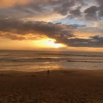 Sara Partridge - @spartridge1234 - Instagram
