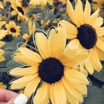 Sarah - @sarah._.peak - Instagram