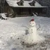 sarahpedigo6 - @sarahpedigo6 - TikTok