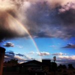 Sara Pedretti Photography - @sarapedrettiphotography - Instagram