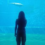 sara :) - @_sara.perna - Instagram