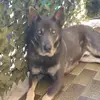 Sara Perna - @saraperna5 - TikTok
