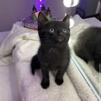 Sara Pierre - Facebook