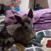 SarahPomeroy - @sarahpomeroy22 - TikTok