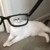 Sara Posada - @user2557365163678 - TikTok