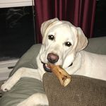 Sara Prevost Green - @higgins_girl - Instagram