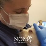 Sara Prevost Velez - @mamabear2ab - Instagram