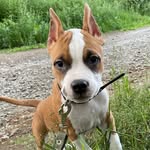 SaraPride - @sara_pride_kamchatka - Instagram